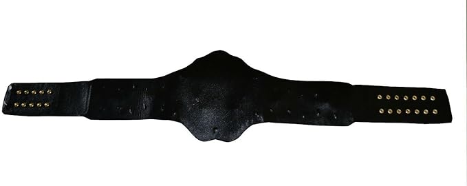TNA Heavyweight Champion Replica Belt