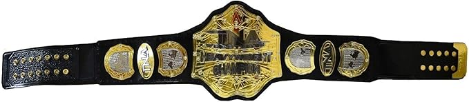 TNA Heavyweight Champion Replica Belt