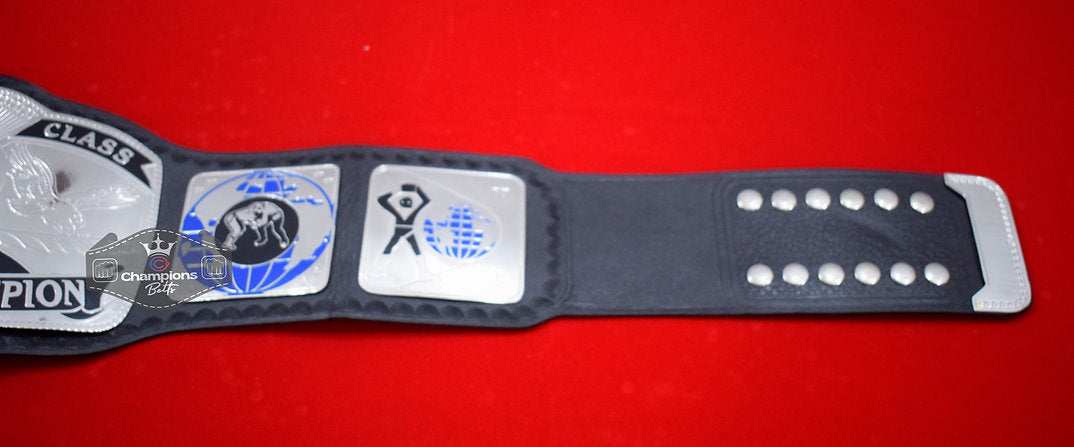 WCCW World Class Tag Team Wrestling Championship Belt