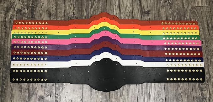 World Championship Undisputed Custom Banners Belts