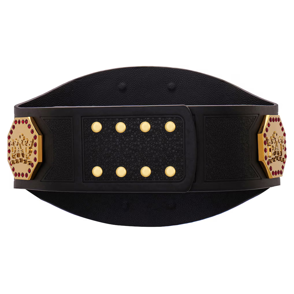 AAA Mega Champion Replica Title Belt