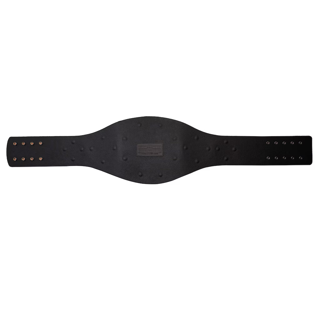 AAA Mega Champion Replica Title Belt