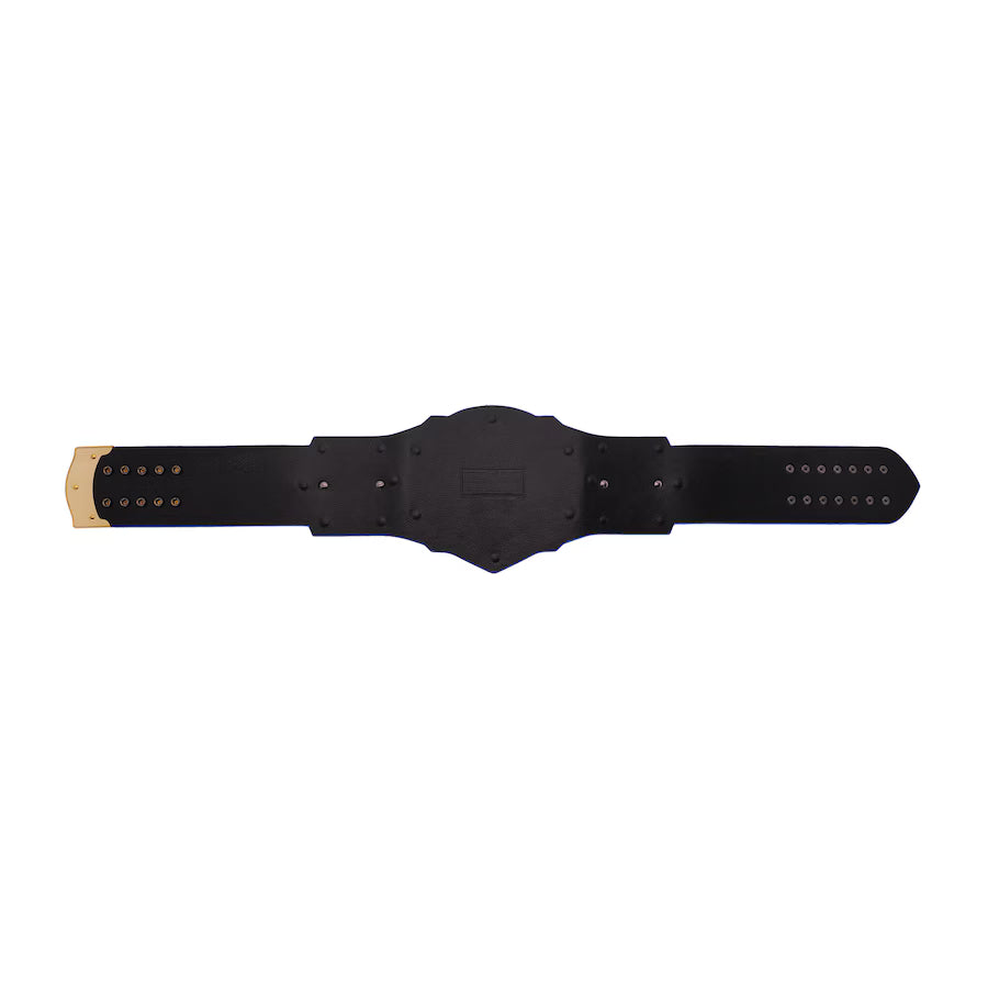 Kansas Jayhawks WWE Legacy Title Belt