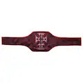 Triple H 30 Years Evolution World Heavyweight Titelgürtel | WWE Sammlerstück | Riemen aus echtem Rindsleder | Ätzgürtel