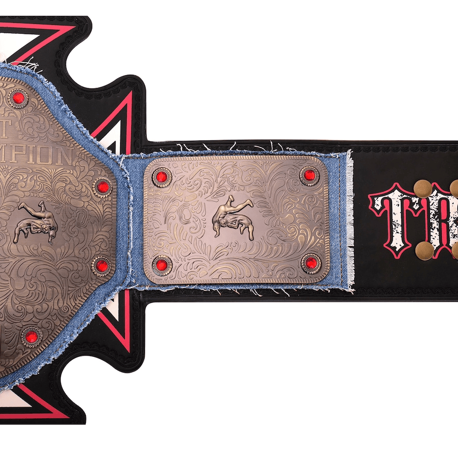 Triple H 30 Years Evolution World Heavyweight Championship Title Replica Belt