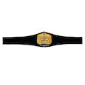 WWE Tag Team Championship Replica Title Belt