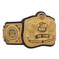 WWE Tag Team Championship Replica Title Belt