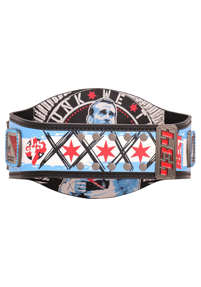 CM Punk 434-Day Record Signature Championship Title Belt | WWE Collectible