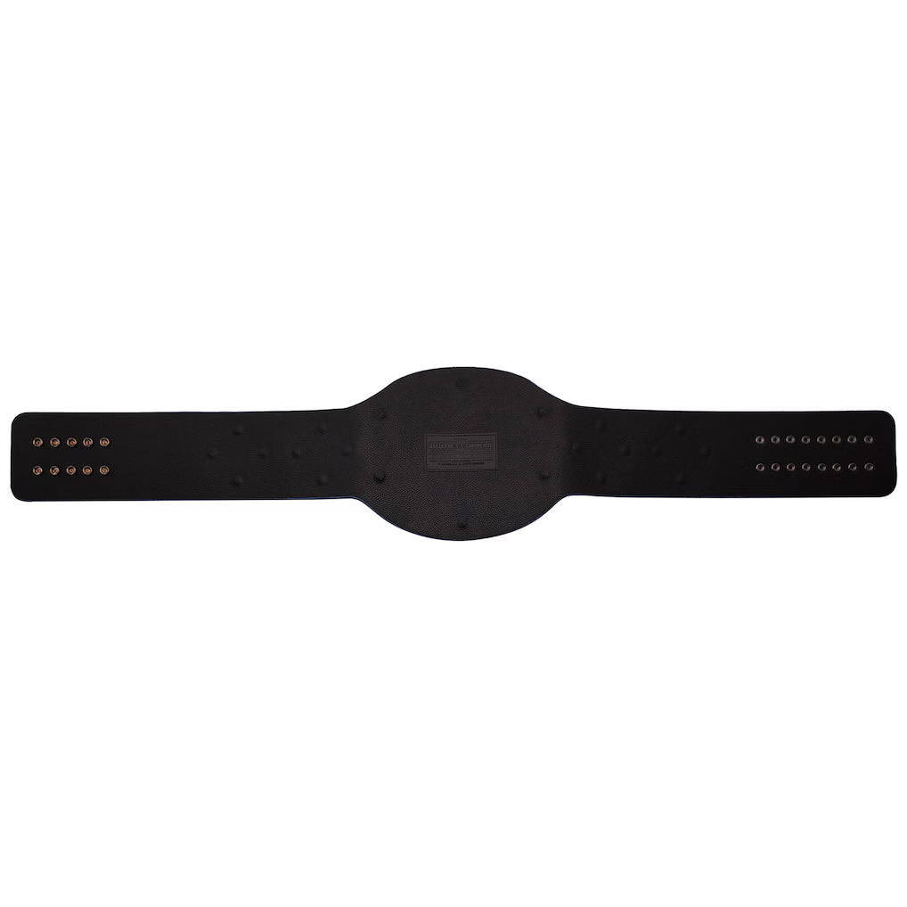 AAA World Mixed Tag Team Championship Replica Title Belt