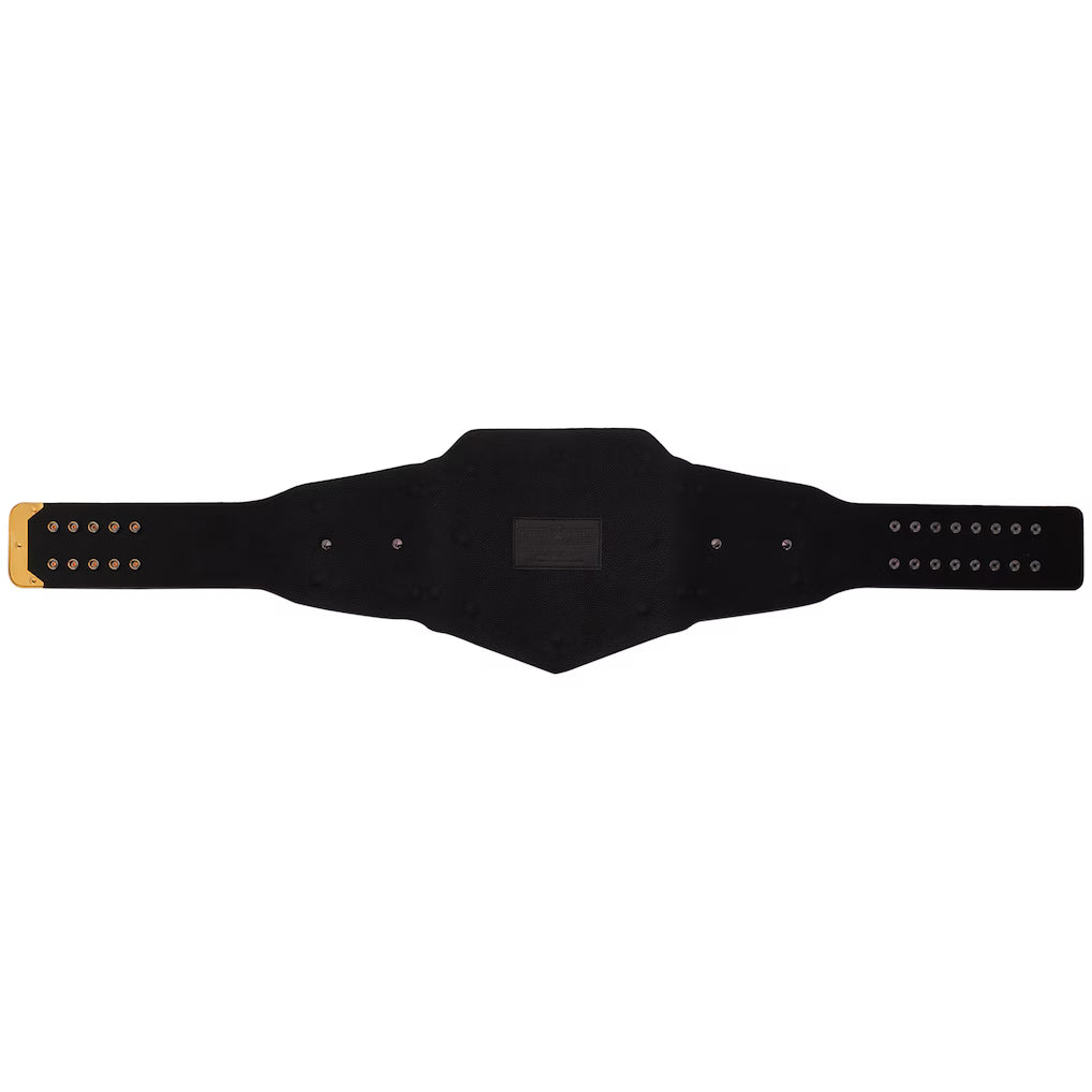 Backlash 2025 St. Louis Undisputed Championship Title Belt