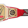 Clash In Italy 2026 Championship Replica Title Belt