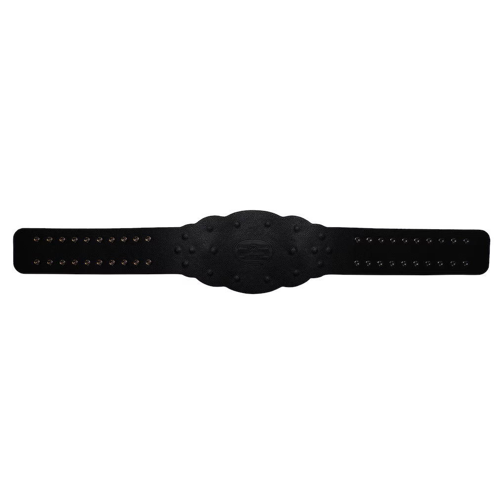 NXT Women's Championship 2014 Retro Replica Title Belt