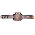 Triple H 30 Years Evolution World Heavyweight Replica Title Belt