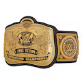 WWE Tag Team Championship Replica Title Belt