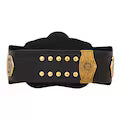 WWE Tag Team Championship Replica Title Belt