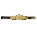 WWE Tag Team Championship Replica Title Belt