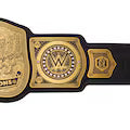 WWE Tag Team Championship Replica Title Belt