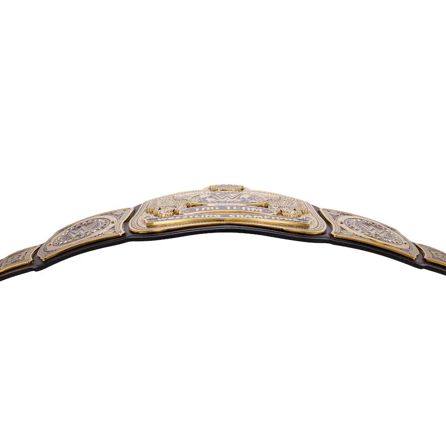 WWE Tag Team Championship Replica Title Belt