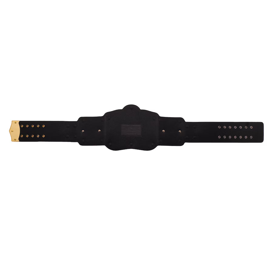 WWE Tag Team Championship Replica Title Belt