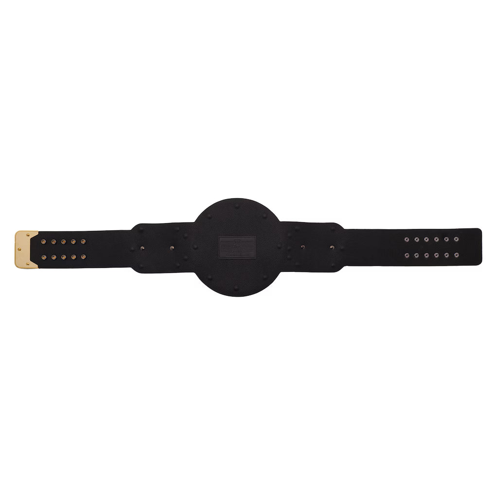 WWE World Tag Team Championship Replica Title Belt