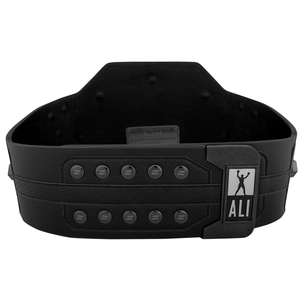 Zuffa Boxing Replica Title Belt